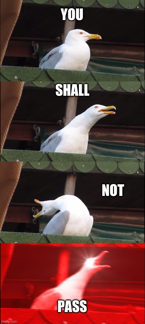 YOU SHALL NOT PASS | YOU; SHALL; NOT; PASS | image tagged in memes,inhaling seagull | made w/ Imgflip meme maker