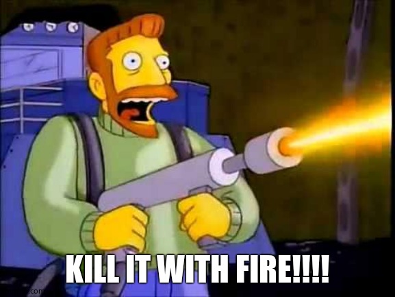 Kill it with fire | KILL IT WITH FIRE!!!! | image tagged in kill it with fire | made w/ Imgflip meme maker