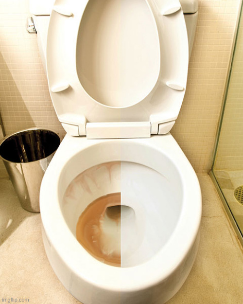 half cleaned toilet | image tagged in half cleaned toilet | made w/ Imgflip meme maker