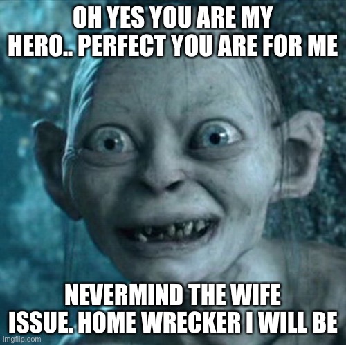 Gollum Meme | OH YES YOU ARE MY HERO.. PERFECT YOU ARE FOR ME; NEVERMIND THE WIFE ISSUE. HOME WRECKER I WILL BE | image tagged in memes,gollum | made w/ Imgflip meme maker