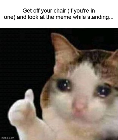 sad thumbs up cat | Get off your chair (if you're in one) and look at the meme while standing... | image tagged in sad thumbs up cat | made w/ Imgflip meme maker