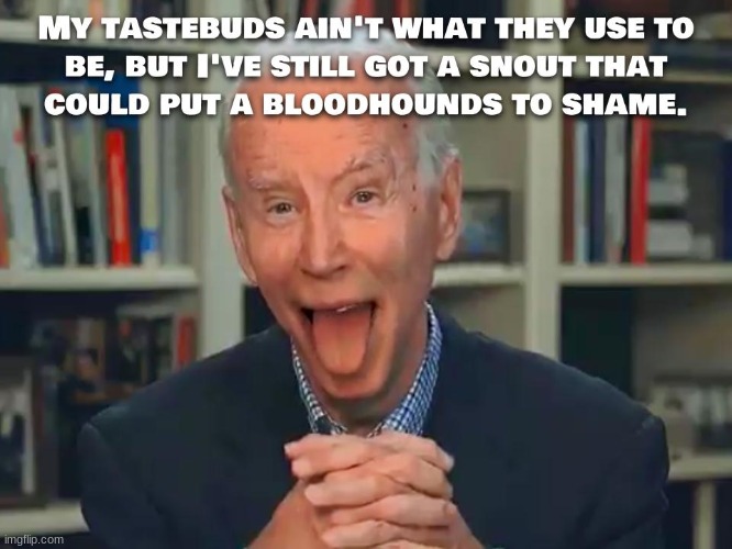 image tagged in joe biden,creepy joe biden,trump 2020,political,politics | made w/ Imgflip meme maker