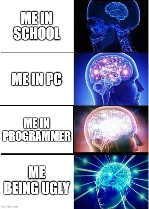 Expanding Brain Meme | ME IN SCHOOL; ME IN PC; ME IN PROGRAMMER; ME BEING UGLY | image tagged in memes,expanding brain | made w/ Imgflip meme maker