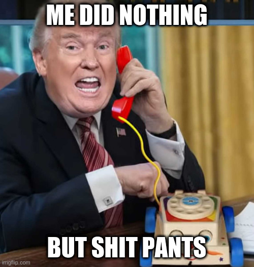 I'm the president | ME DID NOTHING BUT SHIT PANTS | image tagged in i'm the president | made w/ Imgflip meme maker