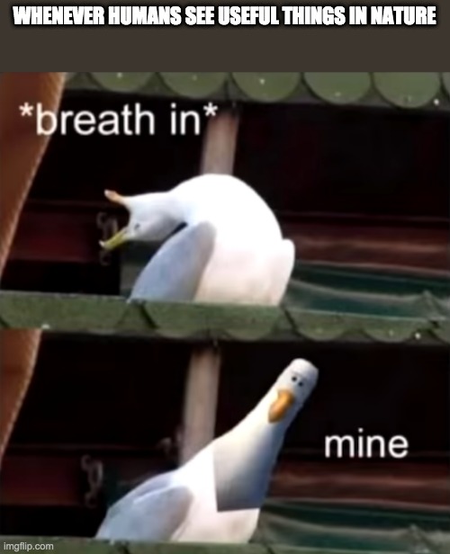 breath in mine | WHENEVER HUMANS SEE USEFUL THINGS IN NATURE | image tagged in breath in mine | made w/ Imgflip meme maker