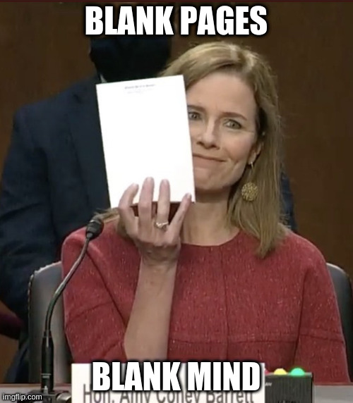 Amy Coney Barrett | BLANK PAGES; BLANK MIND | image tagged in amy coney barrett | made w/ Imgflip meme maker