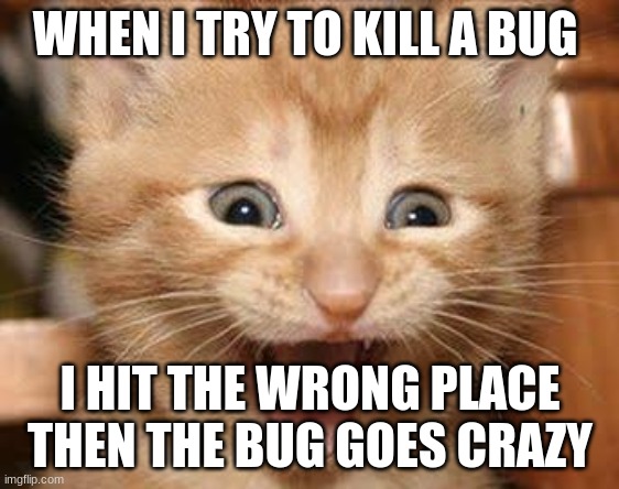 Excited Cat Meme | WHEN I TRY TO KILL A BUG; I HIT THE WRONG PLACE THEN THE BUG GOES CRAZY | image tagged in memes,excited cat | made w/ Imgflip meme maker