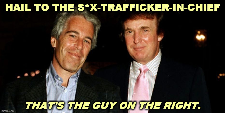 Donald Trump, the only U.S. President to set up a modeling agency so he could traffic in underage girls from foreign countries. | HAIL TO THE S*X-TRAFFICKER-IN-CHIEF; THAT'S THE GUY ON THE RIGHT. | image tagged in trump epstein,foreign,young,girls,models,traffic | made w/ Imgflip meme maker