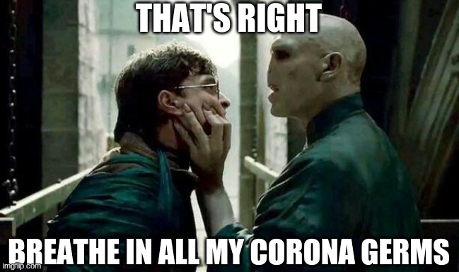Voldemort and Harry | THAT'S RIGHT BREATHE IN ALL MY CORONA GERMS | image tagged in voldemort and harry | made w/ Imgflip meme maker