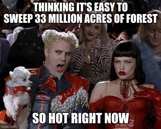Mugatu So Hot Right Now Meme | THINKING IT'S EASY TO SWEEP 33 MILLION ACRES OF FOREST SO HOT RIGHT NOW | image tagged in memes,mugatu so hot right now | made w/ Imgflip meme maker