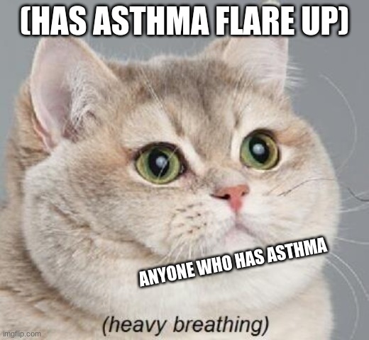 Heavy Breathing Cat | (HAS ASTHMA FLARE UP); ANYONE WHO HAS ASTHMA | image tagged in memes,heavy breathing cat | made w/ Imgflip meme maker