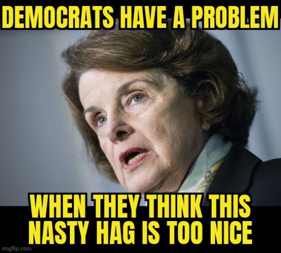 YEAR OF THE NASTY | image tagged in dianne feinstein,senate,nasty | made w/ Imgflip meme maker