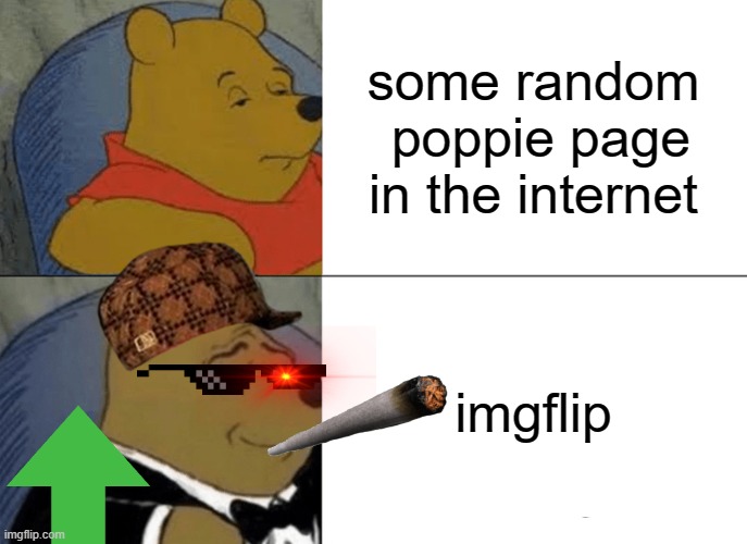 TRULY TRUE | some random  poppie page in the internet; imgflip | image tagged in memes,tuxedo winnie the pooh,imgflip | made w/ Imgflip meme maker
