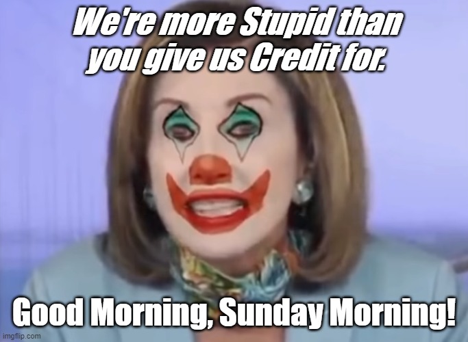 The Democratic Party attracts the Biggest Clowns because it's the Biggest Clown Show. Logical Really. | We're more Stupid than you give us Credit for. Good Morning, Sunday Morning! | image tagged in nancy pelosi,democratic party,clown show,good morning,sunday morning | made w/ Imgflip meme maker