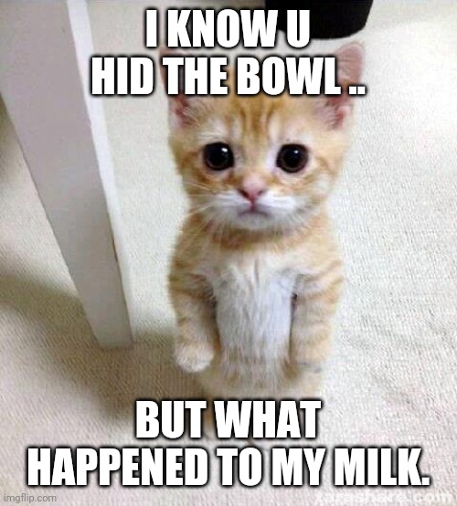 Cute Cat | I KNOW U HID THE BOWL .. BUT WHAT HAPPENED TO MY MILK. | image tagged in memes,cute cat | made w/ Imgflip meme maker