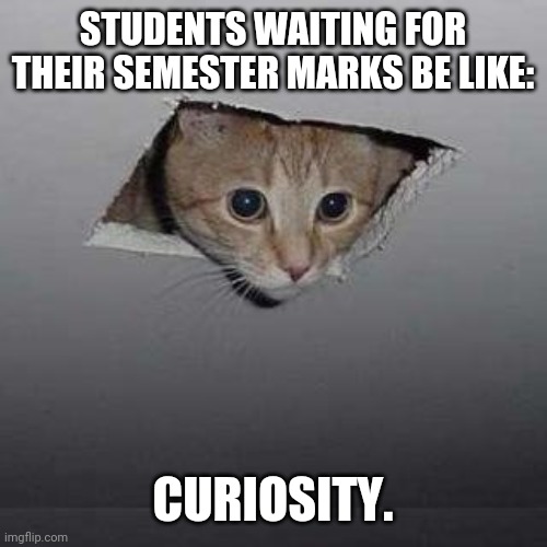 Ceiling Cat Meme | STUDENTS WAITING FOR THEIR SEMESTER MARKS BE LIKE:; CURIOSITY. | image tagged in memes,ceiling cat | made w/ Imgflip meme maker