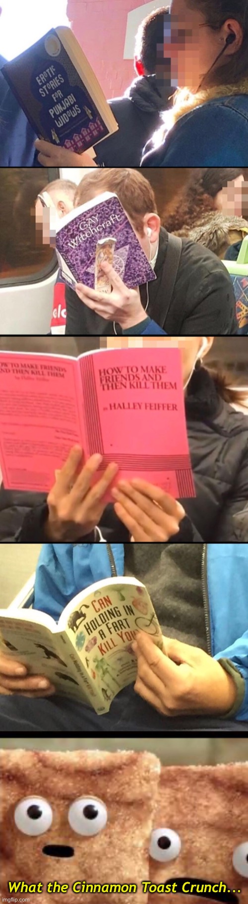 Are You Really Reading That Book in Public? | What the Cinnamon Toast Crunch... | image tagged in funny memes,reading,book titles,what the cinnamon toast f is this | made w/ Imgflip meme maker