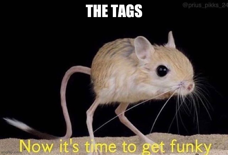Now it’s time to get funky | THE TAGS | image tagged in now it s time to get funky | made w/ Imgflip meme maker