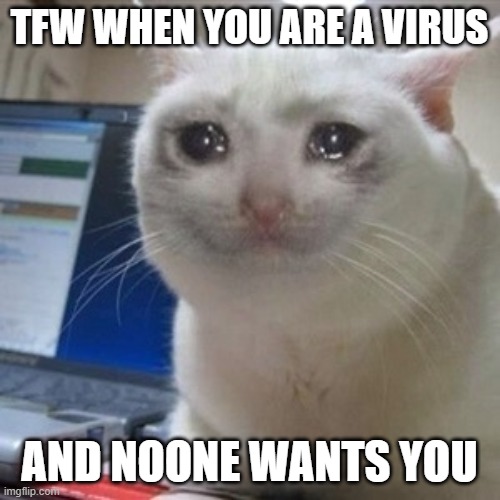 TFW WHEN YOU ARE A VIRUS AND NOONE WANTS YOU | image tagged in crying cat | made w/ Imgflip meme maker