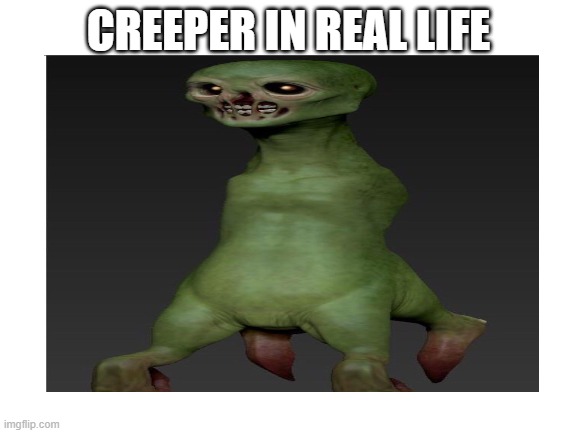 CREEPER IN REAL LIFE | image tagged in minecraft | made w/ Imgflip meme maker