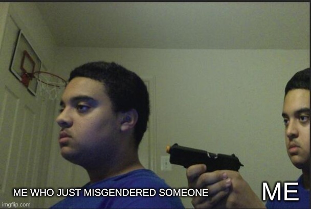 : ( | ME; ME WHO JUST MISGENDERED SOMEONE | image tagged in trust nobody not even yourself | made w/ Imgflip meme maker
