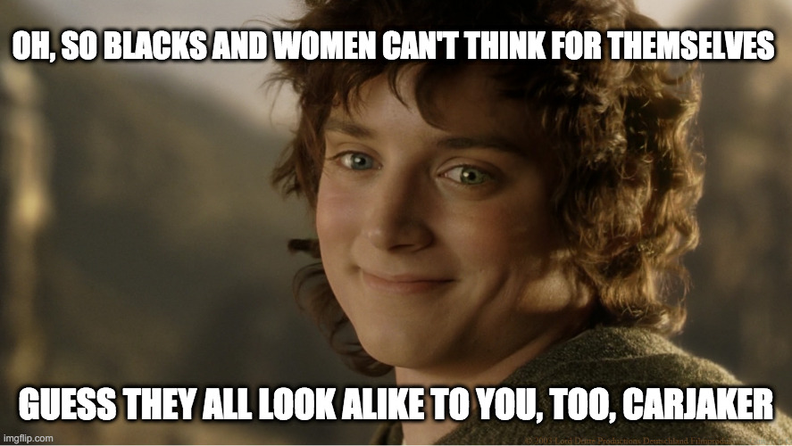 smug Frodo | OH, SO BLACKS AND WOMEN CAN'T THINK FOR THEMSELVES GUESS THEY ALL LOOK ALIKE TO YOU, TOO, CARJAKER | image tagged in smug frodo | made w/ Imgflip meme maker