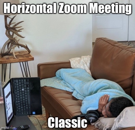 Another Zoom Meeting | Horizontal Zoom Meeting; Classic | image tagged in funny memes,coronavirus,covid-19,zoom | made w/ Imgflip meme maker