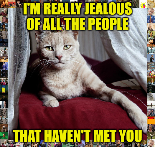 MEDIEVAL INSULT CAT | I'M REALLY JEALOUS OF ALL THE PEOPLE; THAT HAVEN'T MET YOU | image tagged in medieval insult cat | made w/ Imgflip meme maker