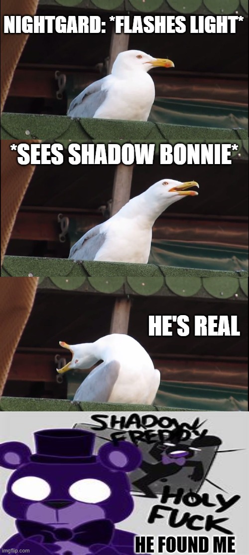 this is why the room goes pitch black in ucn ( ultamite custom night) | NIGHTGARD: *FLASHES LIGHT*; *SEES SHADOW BONNIE*; HE'S REAL; HE FOUND ME | image tagged in memes,inhaling seagull | made w/ Imgflip meme maker