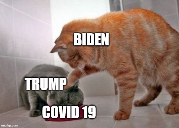 Force feed cat | BIDEN; TRUMP; COVID 19 | image tagged in force feed cat | made w/ Imgflip meme maker