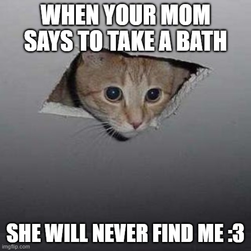 Ceiling Cat | WHEN YOUR MOM SAYS TO TAKE A BATH; SHE WILL NEVER FIND ME :3 | image tagged in memes,ceiling cat | made w/ Imgflip meme maker