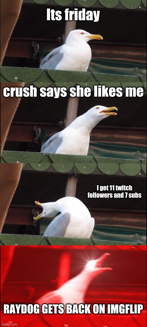 hes back bois | Its friday; crush says she likes me; I get 11 twitch followers and 7 subs; RAYDOG GETS BACK ON IMGFLIP | image tagged in memes,inhaling seagull | made w/ Imgflip meme maker