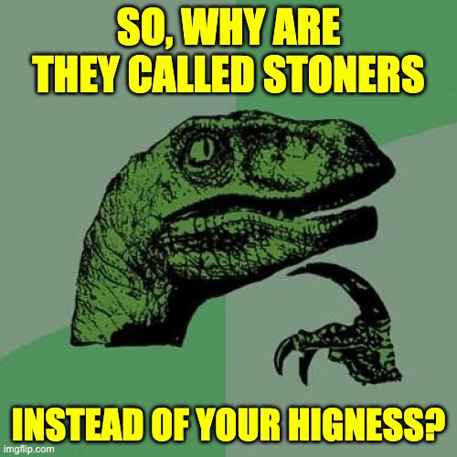 Stoners | SO, WHY ARE THEY CALLED STONERS; INSTEAD OF YOUR HIGNESS? | image tagged in memes,philosoraptor | made w/ Imgflip meme maker