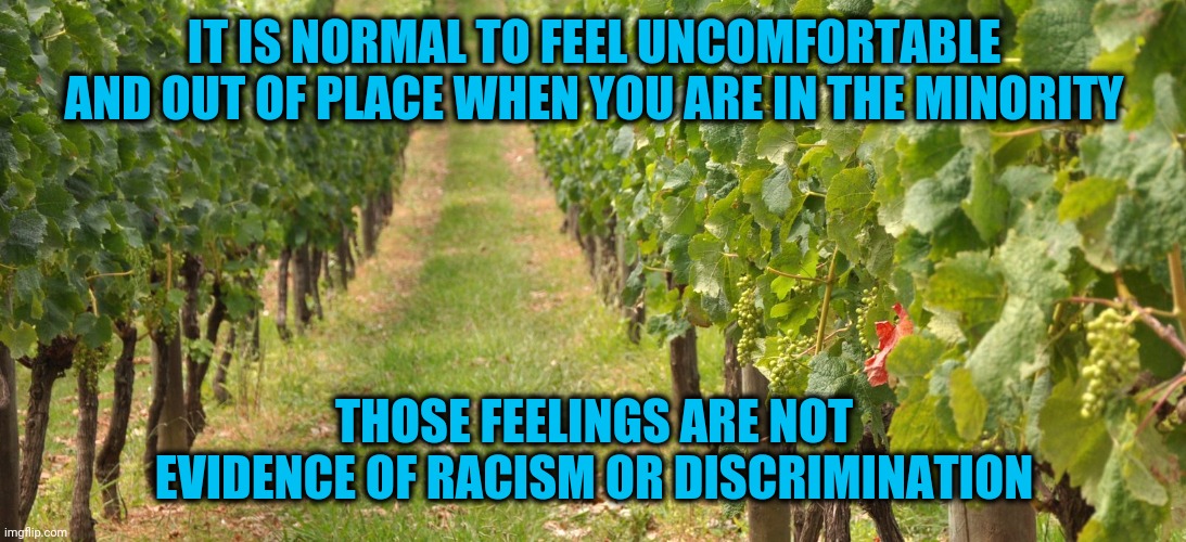 Your feelings are your responsibility | IT IS NORMAL TO FEEL UNCOMFORTABLE AND OUT OF PLACE WHEN YOU ARE IN THE MINORITY; THOSE FEELINGS ARE NOT EVIDENCE OF RACISM OR DISCRIMINATION | image tagged in responsibility,one red leaf | made w/ Imgflip meme maker