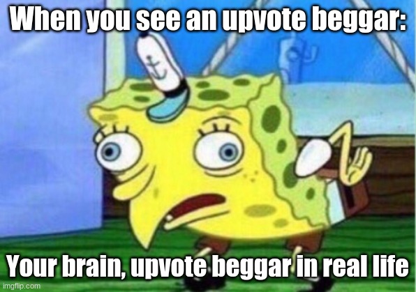 Mocking Spongebob Meme | When you see an upvote beggar:; Your brain, upvote beggar in real life | image tagged in memes,mocking spongebob | made w/ Imgflip meme maker