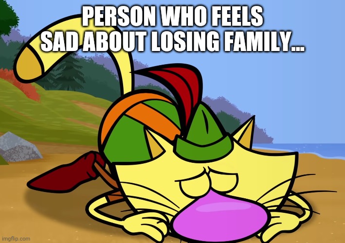 Nature Cat Feeling Down | PERSON WHO FEELS SAD ABOUT LOSING FAMILY... | image tagged in nature cat feeling down,memes,sad cat,aww,first world problems,nature cat | made w/ Imgflip meme maker