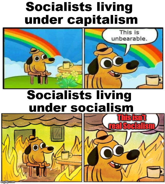 When life is too good but you still hate it, you just might be a Socialist. | Socialists living 
under capitalism; Socialists living 
under socialism; This isn't real Socialism | image tagged in unbearable,socialism,democratic socialism,capitalism | made w/ Imgflip meme maker