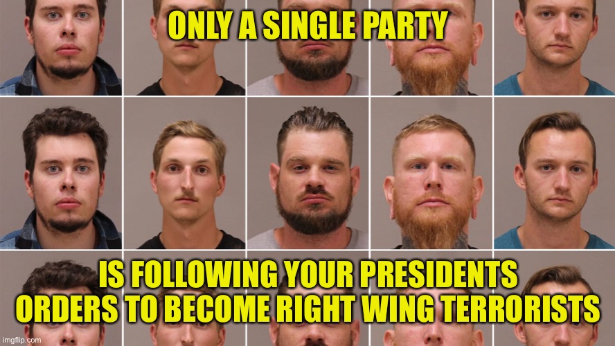ONLY A SINGLE PARTY IS FOLLOWING YOUR PRESIDENTS ORDERS TO BECOME RIGHT WING TERRORISTS | made w/ Imgflip meme maker