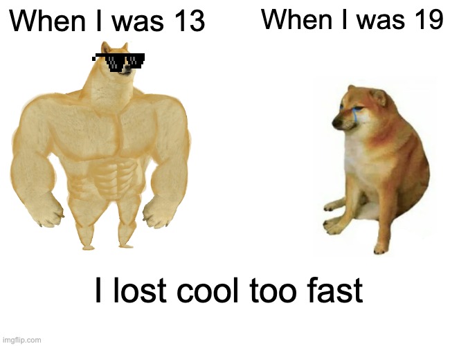 I lost cool too fast meme | When I was 13; When I was 19; I lost cool too fast | image tagged in memes,buff doge vs cheems | made w/ Imgflip meme maker