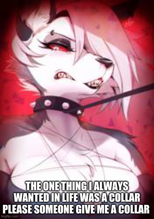I am serious | THE ONE THING I ALWAYS WANTED IN LIFE WAS A COLLAR PLEASE SOMEONE GIVE ME A COLLAR | image tagged in furry | made w/ Imgflip meme maker