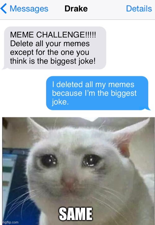 Text messages | SAME | image tagged in crying cat,funny,memes,relatable,same,sad | made w/ Imgflip meme maker