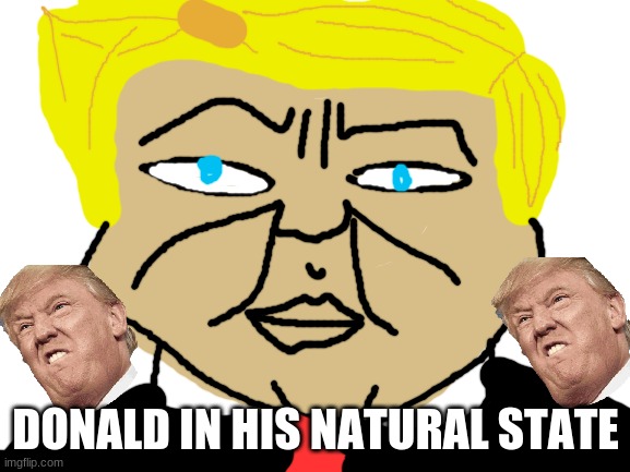 Donald Trump in his natural state | DONALD IN HIS NATURAL STATE | image tagged in blank white template | made w/ Imgflip meme maker