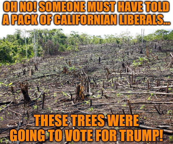 This seems logical...given how may pets and dead people have voted for Biden. | OH NO! SOMEONE MUST HAVE TOLD A PACK OF CALIFORNIAN LIBERALS... THESE TREES WERE GOING TO VOTE FOR TRUMP! | image tagged in cut trees,voter fraud | made w/ Imgflip meme maker