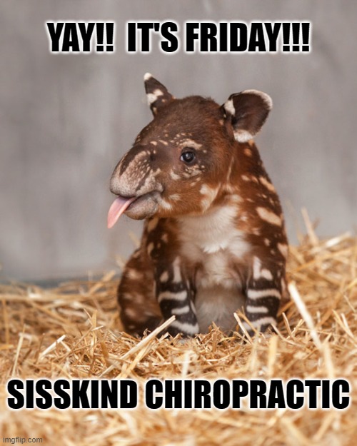 YAY!!  IT'S FRIDAY!!! | YAY!!  IT'S FRIDAY!!! SISSKIND CHIROPRACTIC | image tagged in yay it's friday | made w/ Imgflip meme maker