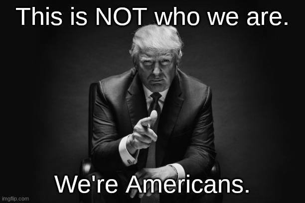 Tell the world on November 3 | This is NOT who we are. We're Americans. | image tagged in donald trump thug life | made w/ Imgflip meme maker