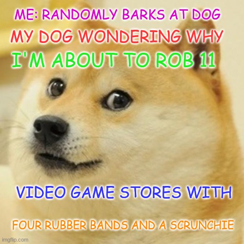 Doge | ME: RANDOMLY BARKS AT DOG; MY DOG WONDERING WHY; I'M ABOUT TO ROB 11; VIDEO GAME STORES WITH; FOUR RUBBER BANDS AND A SCRUNCHIE | image tagged in memes,doge | made w/ Imgflip meme maker