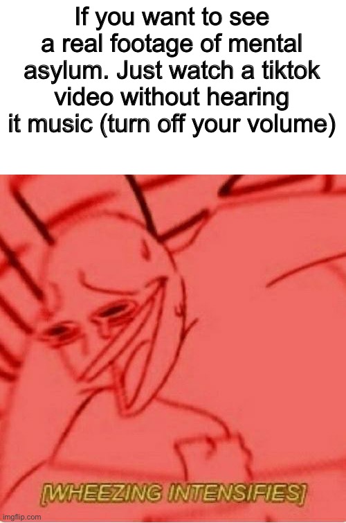 Fact | If you want to see a real footage of mental asylum. Just watch a tiktok video without hearing it music (turn off your volume) | image tagged in wheeze,memes,funny,tiktok,mental illness,asylum | made w/ Imgflip meme maker