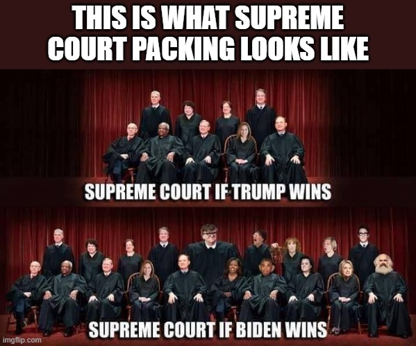 THIS IS WHAT SUPREME COURT PACKING LOOKS LIKE | image tagged in politics,political meme | made w/ Imgflip meme maker