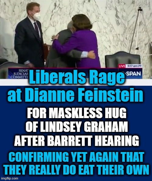 She Is 87 Years Old & Just Wanted A Hug, Not Hate | image tagged in politics,political meme,democrats,dianne feinstein,haters gonna hate,party of haters | made w/ Imgflip meme maker