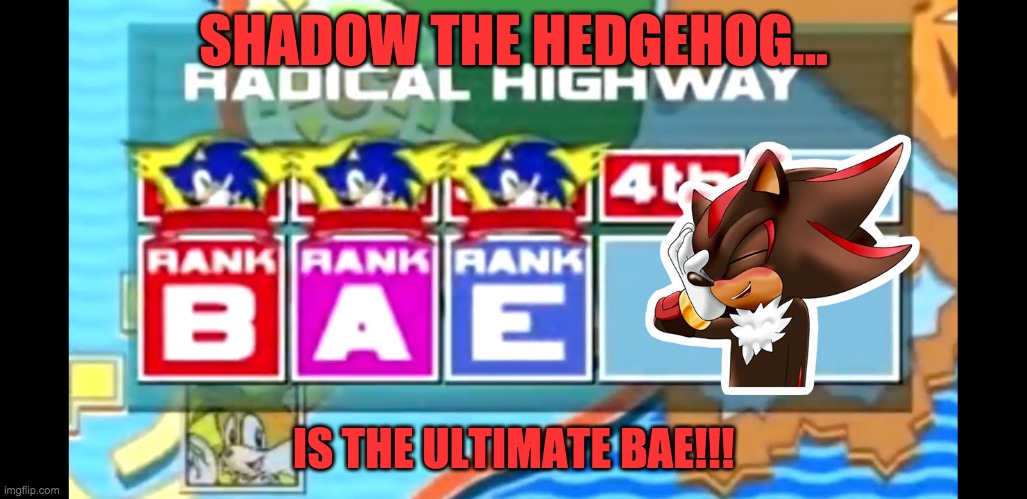 Shadow Bae | SHADOW THE HEDGEHOG... IS THE ULTIMATE BAE!!! | image tagged in shadow the hedgehog | made w/ Imgflip meme maker